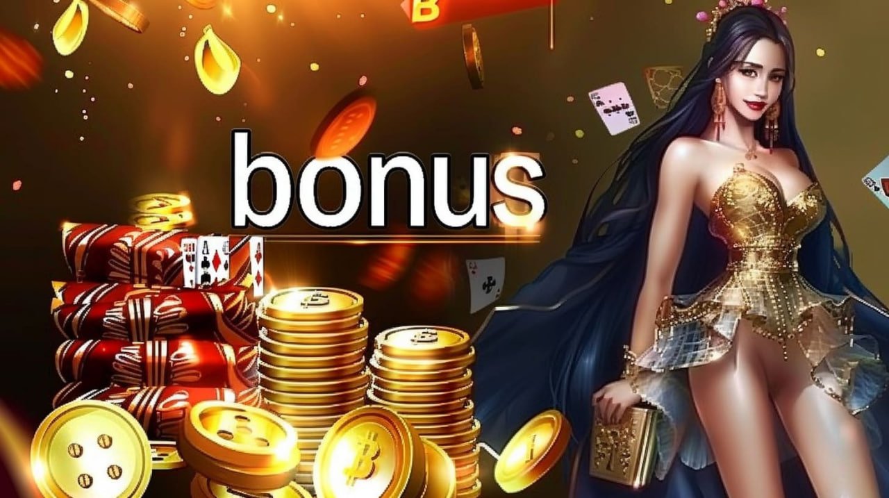 535 bet login