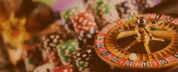 535 bet login
