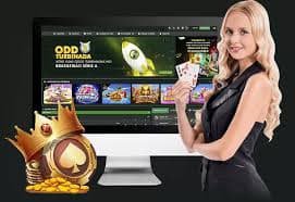 535 bet login